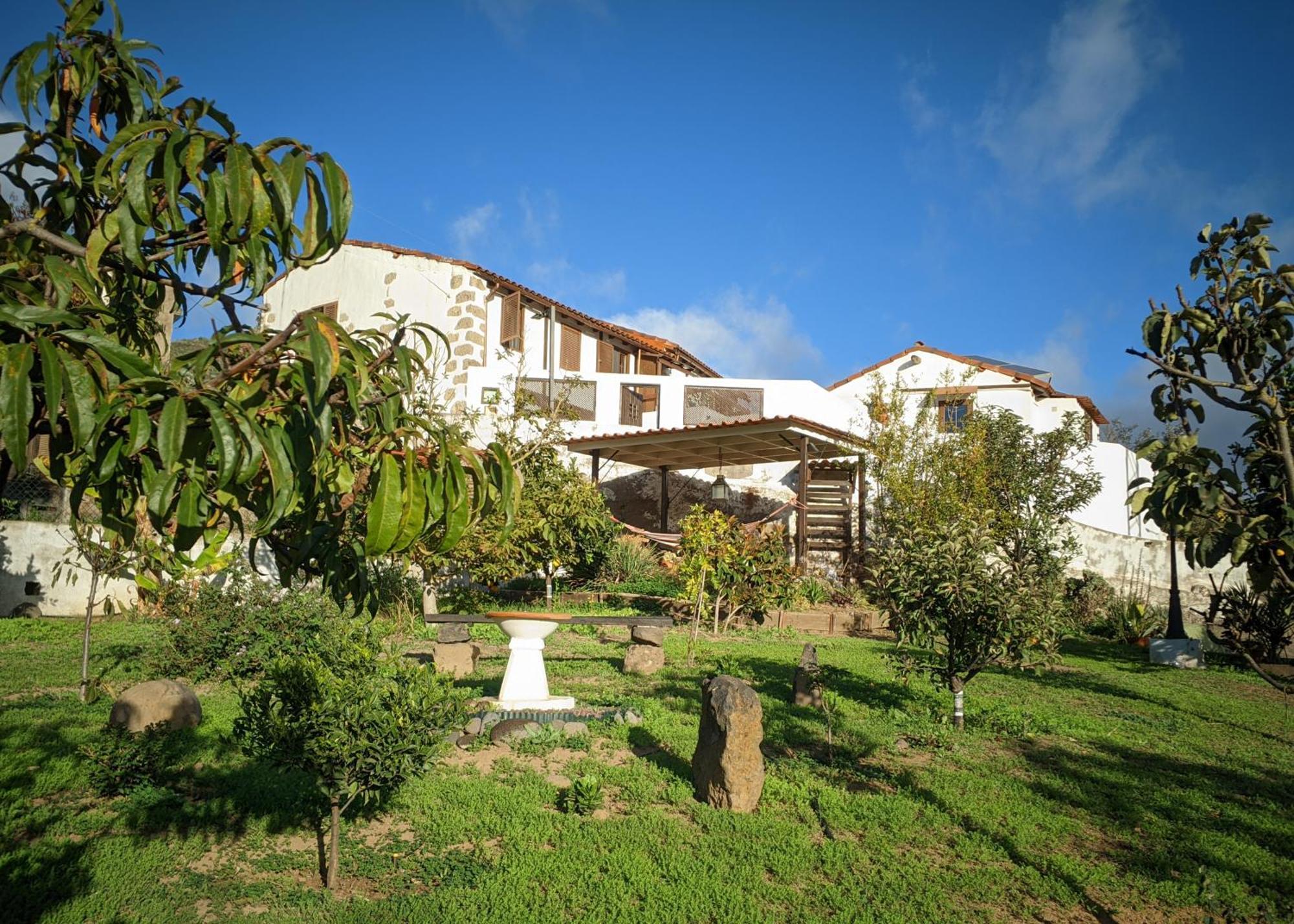 La Bohemia Apartments Teror Kültér fotó
